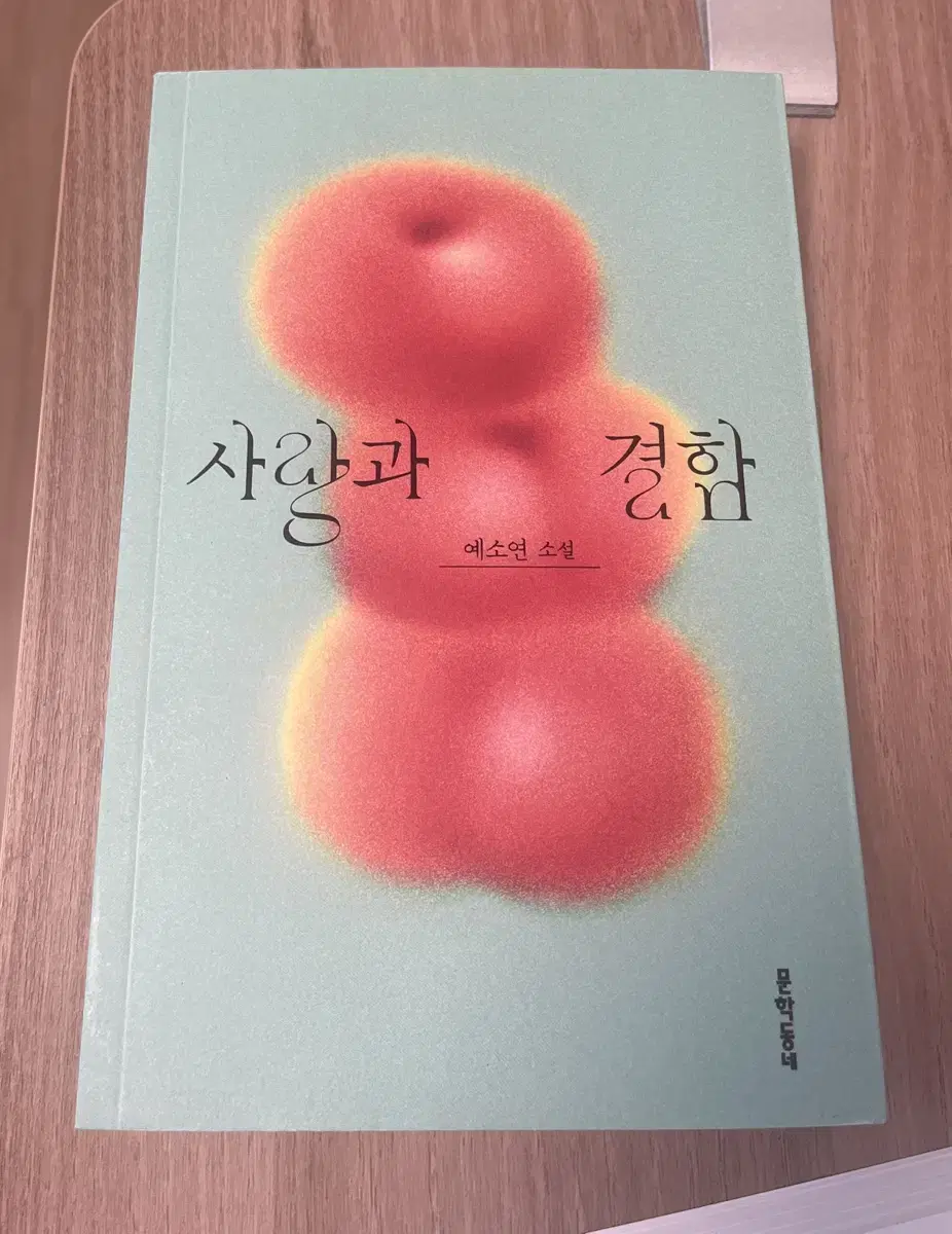 사랑과 결함